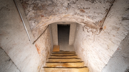 Gewölbekellertreppe